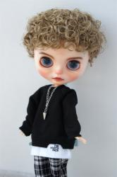 Fashion Short Curly BJD Synthetic Mohair Wigs JD522